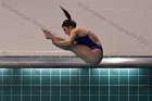 Women's Diving  Wheaton College Women’s Diving vs Mount Holyoke College. - Photo by Keith Nordstrom : Wheaton, Swimming & Diving